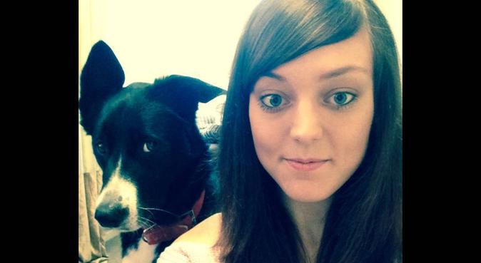 🐾 Platinum Pet Care & Boarding 🐾, dog sitter in Glasgow