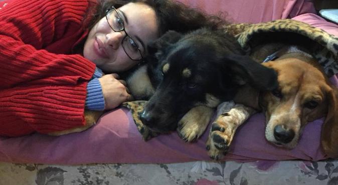 Al servizio dei nostri amati amici animali, dog sitter a Messina