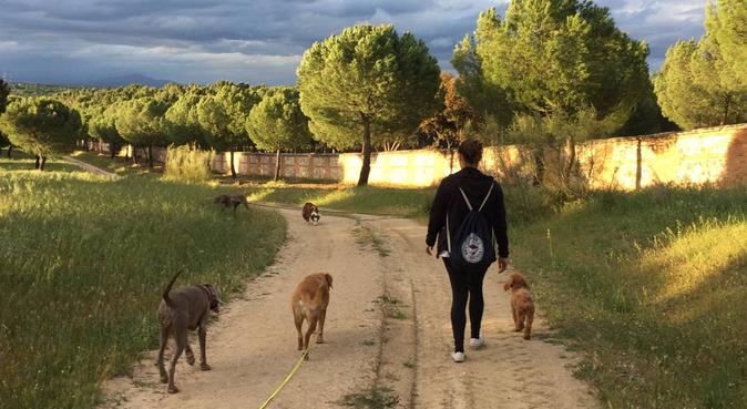 Ejercicio físico,mental y relacional en naturaleza, canguro en Pozuelo de Alarcón, España