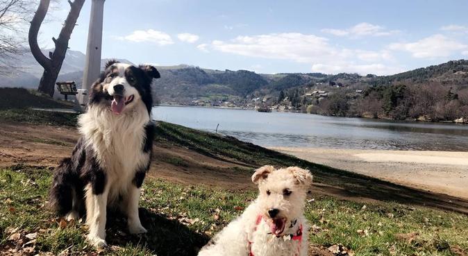 Escapade pleine d’amour!, dog sitter à Clermont-Ferrand, France