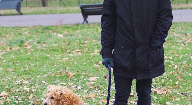 The Smiley Dog Walker Guy, dog sitter in Ilford
