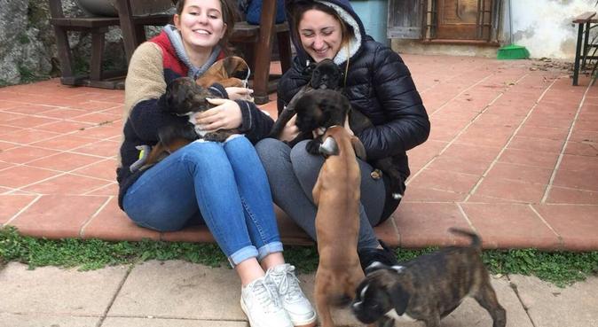 Passeggiate e coccole assicurate, dog sitter a Padova, PD, Italia