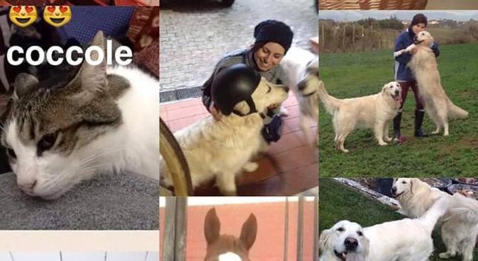 Coccole a volontà e corse felici nel parco!!!, dog sitter a Teramo