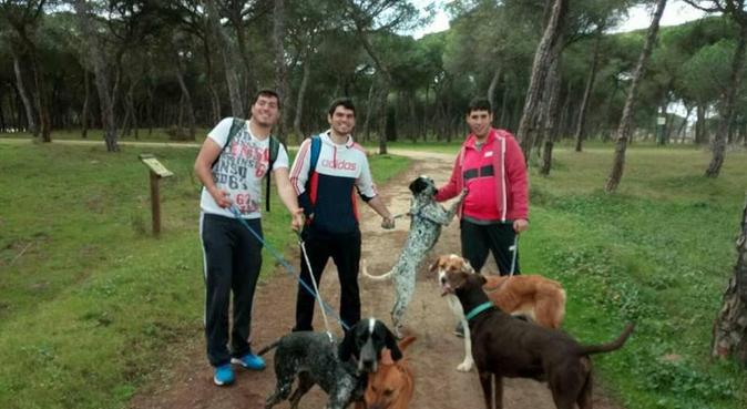 Paseante canino, se hace camino al andar, canguro en Paracuellos De Jarama