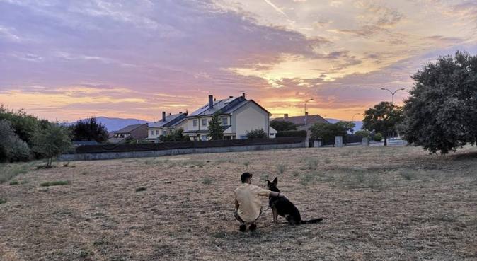 Estudiante de Veterinaria cuida y pasea su madcota, canguro en Las Rozas, España
