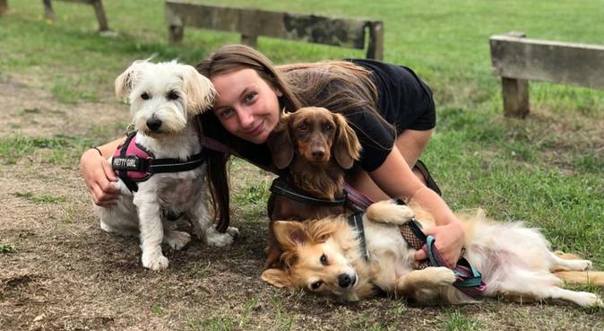 Tassy's pet care, dog sitter in Coventry