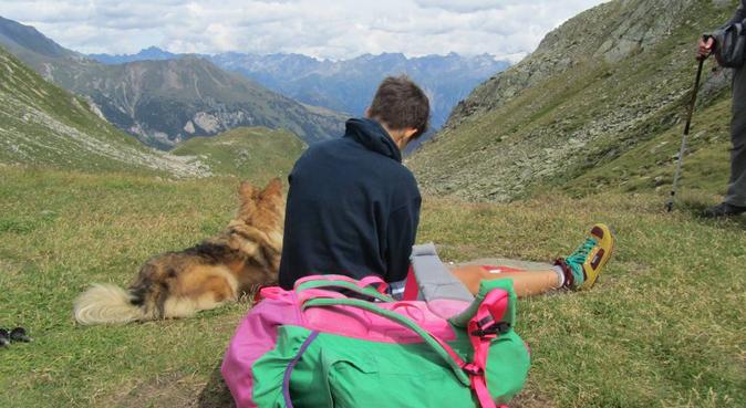 Passeggiate nella natura, dog sitter a Varese