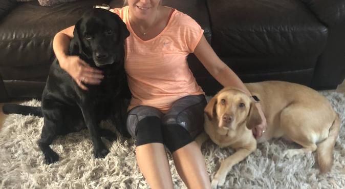 Fun and cuddles in a home from home., dog sitter in Fareham
