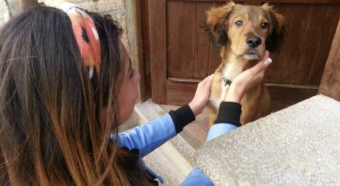 Paseadora perruna, dog sitter a Sabadell