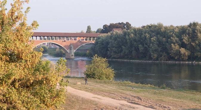 lunghe passeggiate assicurate, dog sitter a Pavia