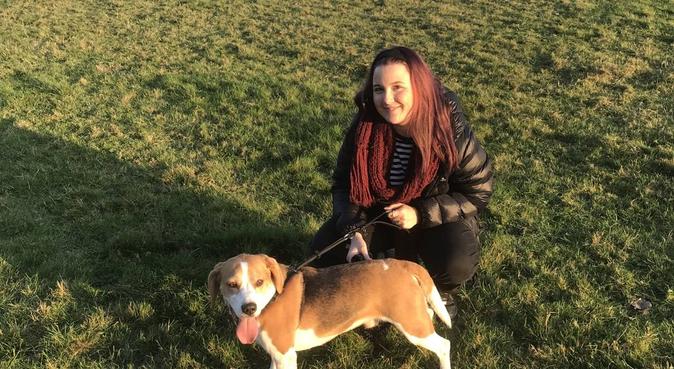 Uni student looking to provide dog walking, dog sitter in Portsmouth