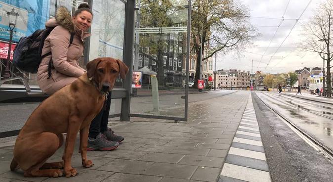 Lange wandelingen & lekker luieren in Breda, hondenoppas in Breda
