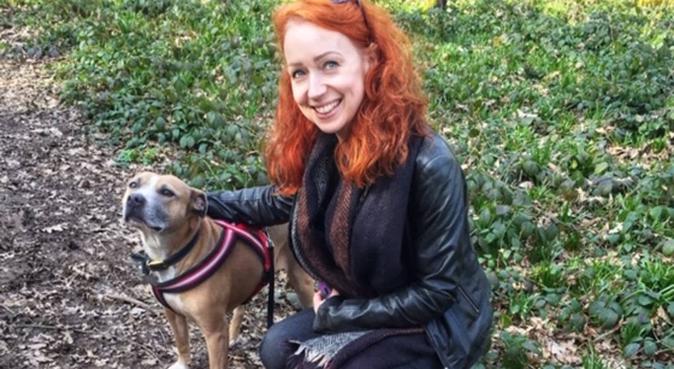 Delightful dog walking in Coventry, dog sitter in Coventry