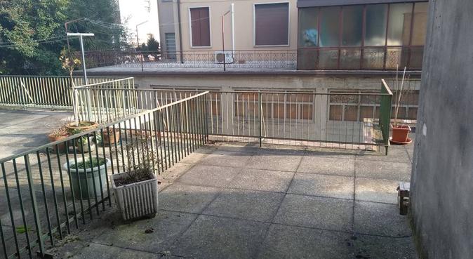 Soggiorni e passeggiate, dog sitter a Padova, PD, Italia