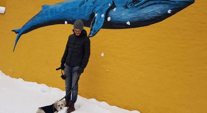 Calm dog sitters, enjoys hiking and doggy cuddles, hundepassere i Oslo, Norway