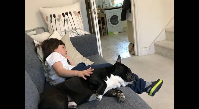 Homely time, dog sitter in Richmond