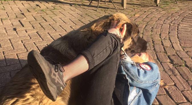 Enthousiaste meid die een hond in haar leven mist, hondenoppas in Utrecht