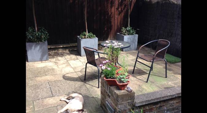 Home away from home - Chiswick W4, dog sitter in London