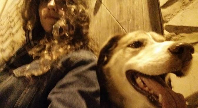 Cerco compagno peloso per giochi e compagnia, dog sitter a Bologna, BO, Italia