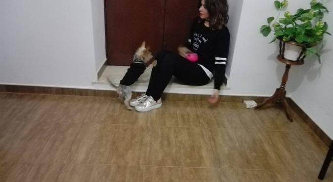 Chica simpática y cariñosa pasea perros 8€/h, canguro en Granada