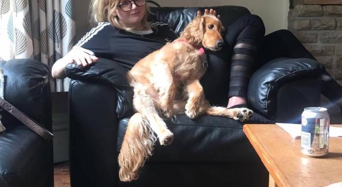 Delightful doggy outings, dog sitter in Bristol