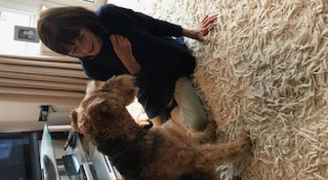 Loving home from home, dog sitter in Chichester