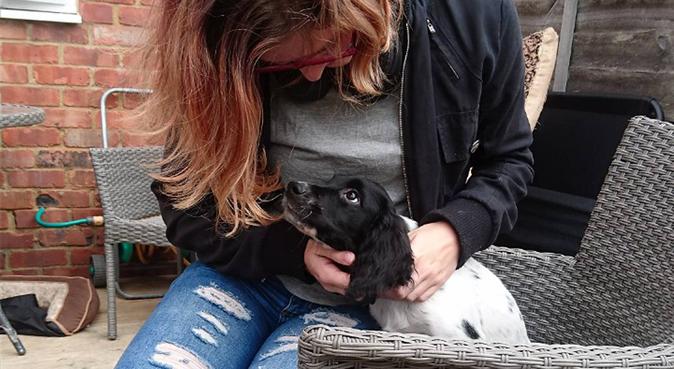 Student seeking dogs to cuddle, dog sitter in Bristol
