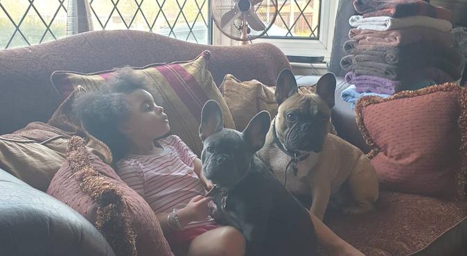 Pet pal for cuddles and walks in oldham, dog sitter in Manchester