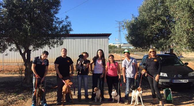 Rutinas diarias de paseo para perros, dog sitter in Alfas del Pi