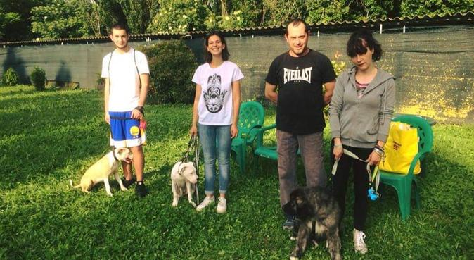Passeggiate/soggiorni divertenti pieni di coccole, dog sitter a Parma