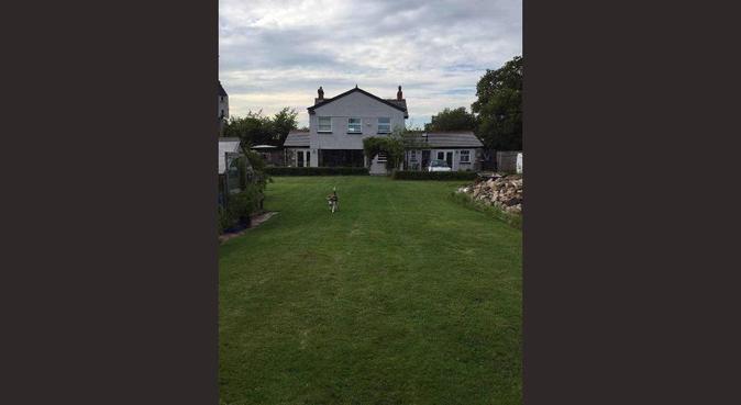5* Hotel for Dogs., dog sitter in Cardiff