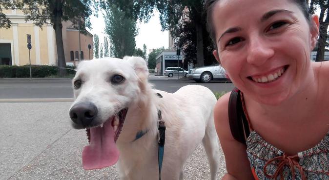 Tante coccole, lunghe passeggiate e giochi stimola, dog sitter a Reggio Emilia