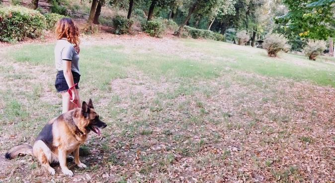 Giochi e passeggiate in una zona verde di Firenze, dog sitter a Florence