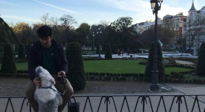 Felices momentos para tu perrito, canguro en Madrid, España