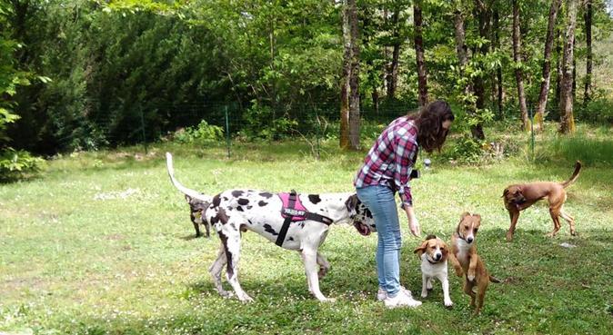 GAYA ANIMALIA - pension familiale professionnelle, dog sitter à Bordeaux