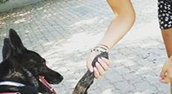 Tante coccole e passeggiate all'aria aperta!, dog sitter a Quartu Sant'Elena