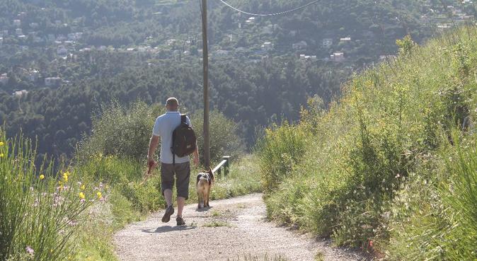 Promenades et garderie pour vos petits compagnons, dog sitter à Toulon