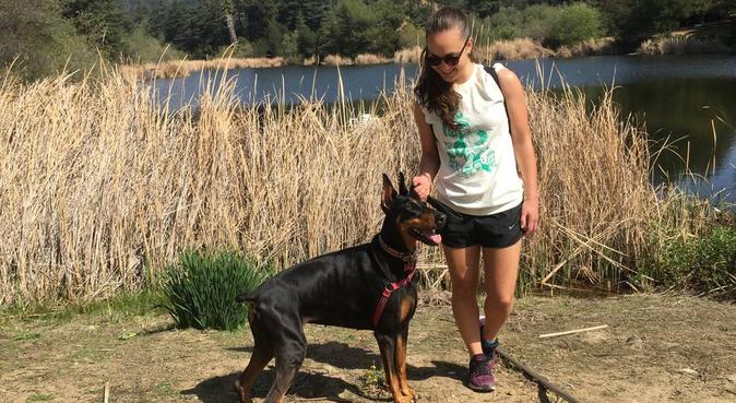 Doggy’s happy time in Nantes, dog sitter à Nantes