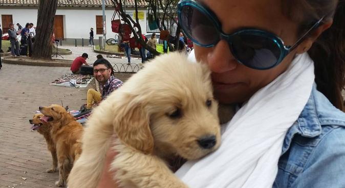 Amores perrunos, mamá humana feliz!!, dog sitter a Torino, Turín, Italia