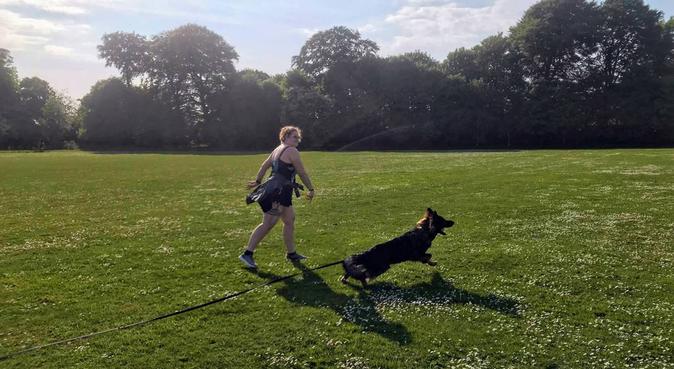 Dog lover needs dog to walk, dog sitter in Liverpool