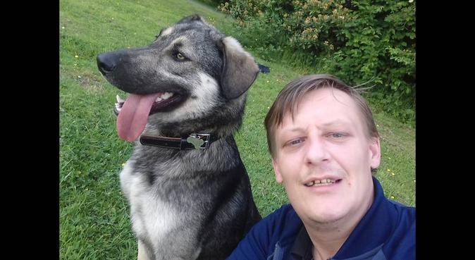 Dog walking m40 area of Manchester, dog sitter in Manchester