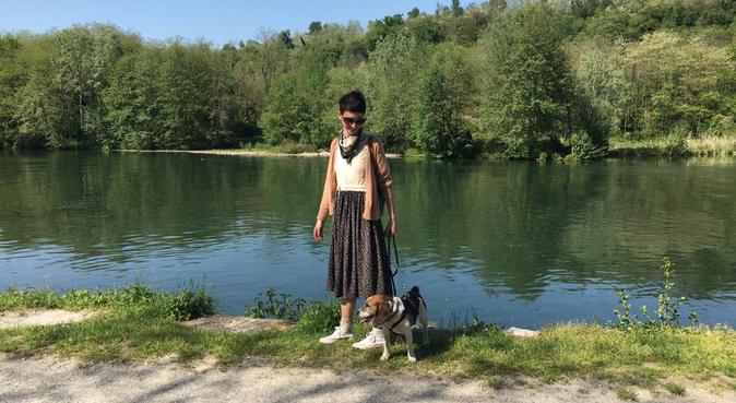 Passeggiate con i vostri cani, dog sitter a Verdellino, BG, Italia