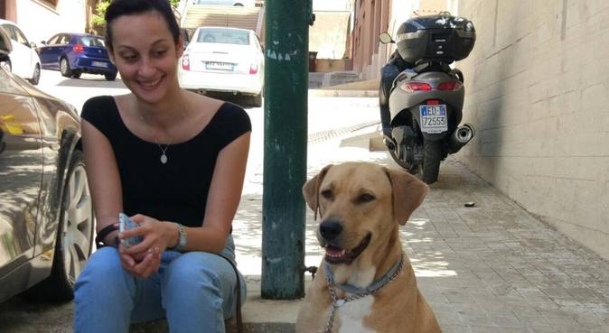 Coccole e divertimento in mani affidabili :), dog sitter a Palermo