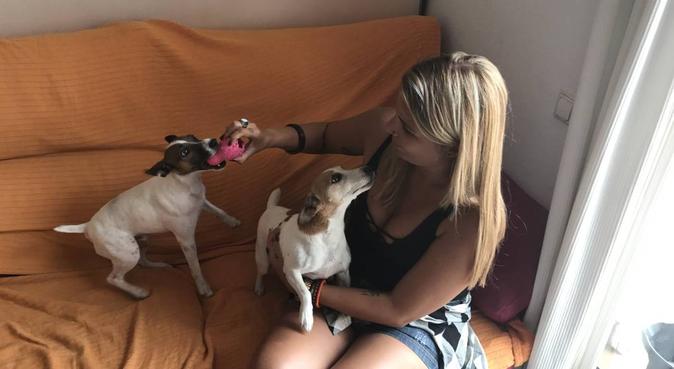 Me encantan los animales y yo a ellos 😋, dog sitter a Barcelona
