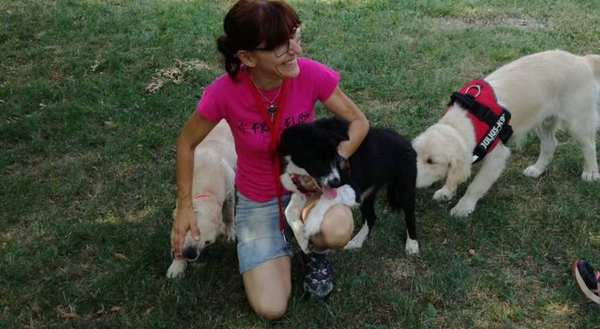 Educatore Cinofilo: Il cane al centro, dog sitter a PONTIROLO NUOVO