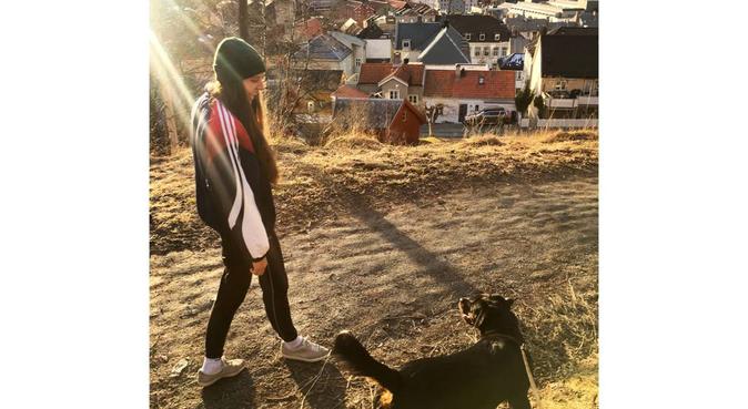 Turjente søker turkamerat, hundepassere i Trondheim