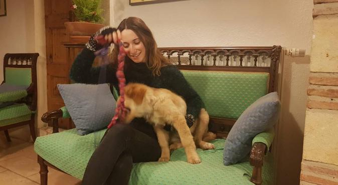 A passeggio con Zia Caterina, dog sitter a Verona, VR, Italy