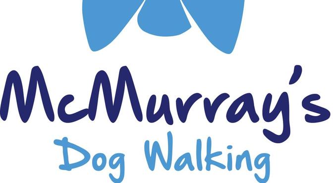 Friendly loving dog walker and home boarding, dog sitter in Bradford