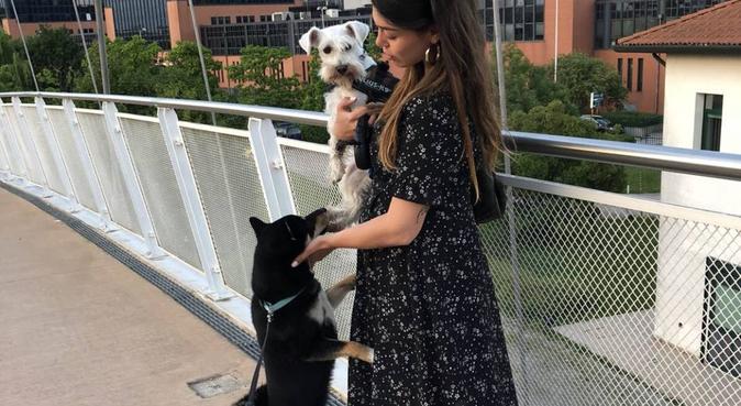 coccole e passeggiate, dog sitter a Padova