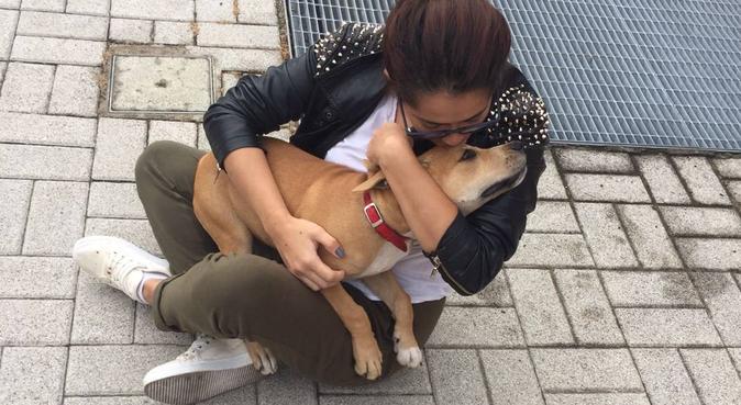 Une amie Colombienne, dog sitter à PARIS 5EME ARRONDISSEMENT
